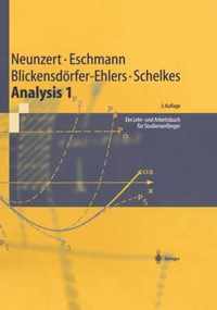 Analysis 1: Ein Lehr- Und Arbeitsbuch Fr Studienanfnger