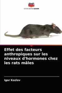 Effet des facteurs anthropiques sur les niveaux d'hormones chez les rats males