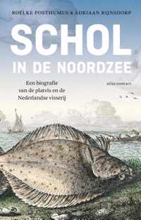 Schol in de Noordzee