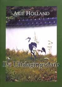 De uitdagingsdans