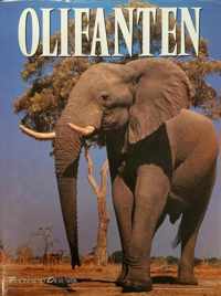 Fascinerend dierenryk olifanten