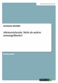 Alleinerziehende. Mehr als andere armutsgefahrdet?