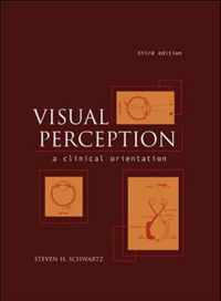 Visual Perception