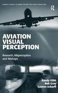 Aviation Visual Perception