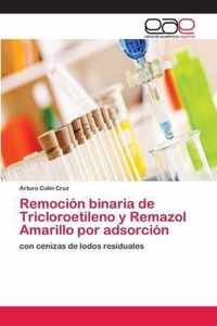 Remocion binaria de Tricloroetileno y Remazol Amarillo por adsorcion