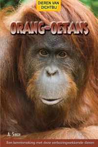 Dieren van dichtbij  -   Orang oetans
