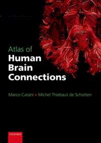 Atlas Of Human Brain Connections