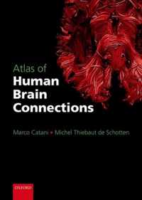 Atlas of Human Brain Connections