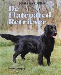 Flatcoated retriever