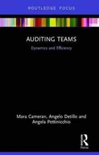 Auditing Teams