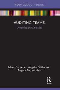 Auditing Teams