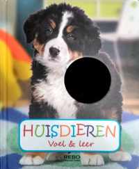 Huisdieren