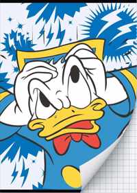 Donald Duck - A4 Ruit schrift - BTS 21-22 - 2 Pak