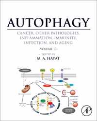 Autophagy: Cancer, Other Pathologies, Inflammation, Immunity, Infection, and Aging