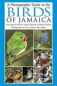 Photographic Guide To The Birds Of Jamaica