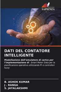 Dati del Contatore Intelligente