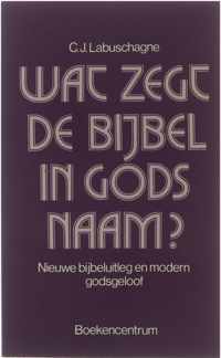 Wat zegt de Bijbel in gods naam? - Nieuwe bijbeluitleg en modern godsgeloof