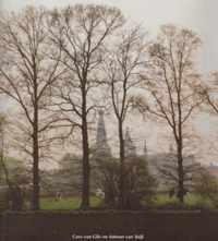 Bomen in Baarle