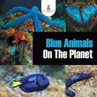 Blue Animals On The Planet