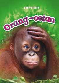 Baby-dieren  -   Orang-oetan