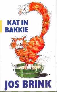 Kat in een bakkie