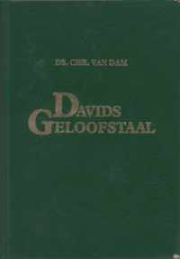 Davids geloofstaal