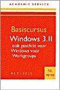 BASISCURSUS WINDOWS 3.11 & WORKGROUPS NL