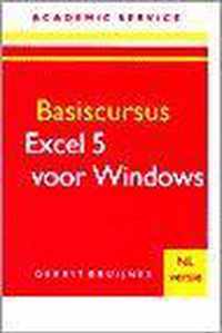 BASISCURSUS EXCEL 5 VOOR WINDOWS NL VERS