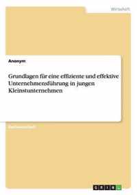 Grundlagen fur eine effiziente und effektive Unternehmensfuhrung in jungen Kleinstunternehmen