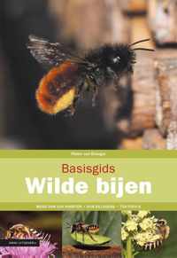 Basisgids  -   Basisgids wilde bijen