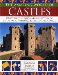The Amazing World of Castles