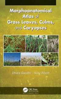 Morphoanatomical Atlas of Grass Leaves, Culms, and Caryopses