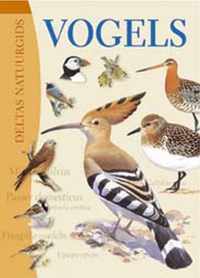 Natuurgids Vogels