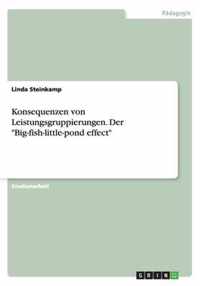 Konsequenzen von Leistungsgruppierungen. Der Big-fish-little-pond effect