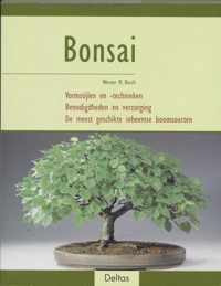 Bonsai