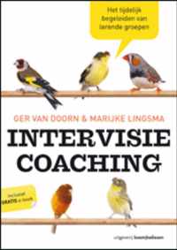 Intervisiecoaching