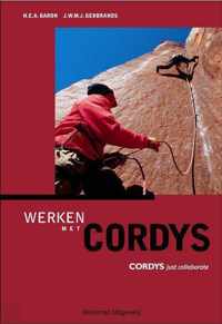 Werken met cordys bcp