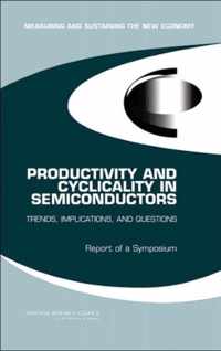 Productivity and Cyclicality in Semiconductors: Trends, Implications, and Questions
