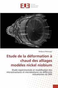 Etude de la deformation a chaud des alliages modeles nickel niobium