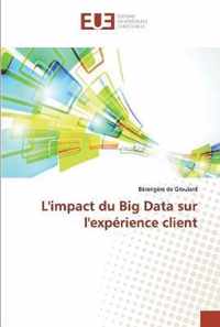 L'impact du Big Data sur l'experience client