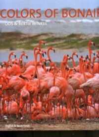 Colors Of Bonaire