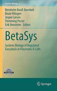 BetaSys