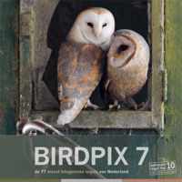 Birdpix 7 -  Birdpix 7