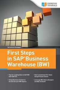 First Steps in SAP Business Warehouse (BW)