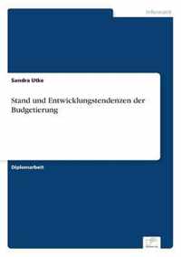 Stand und Entwicklungstendenzen der Budgetierung