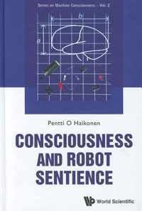 Consciousness And Robot Sentience