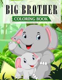 Big Brother Coloring Book