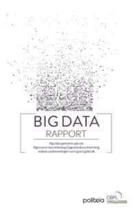 Big Data Rapport