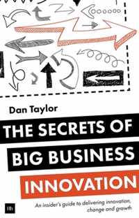 Secrets Of Big Business Innovation