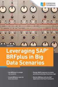 Leveraging SAP BRFplus in Big Data Scenarios